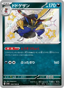 ドドゲザン 294/190 — レイジングサーフ