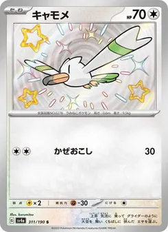 キャモメ 311/190 — レイジングサーフ