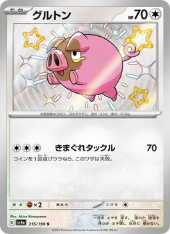グルトン 315/190 — レイジングサーフ