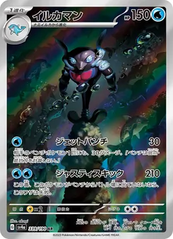 イルカマン 339/190 — レイジングサーフ