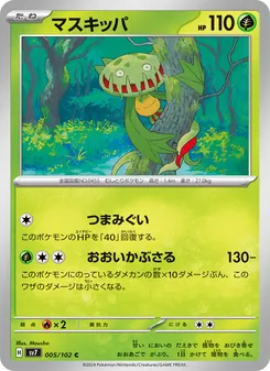 マスキッパ 005/102 — ステラミラクル
